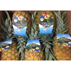 Pineapple by air