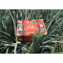 Pineapple by air